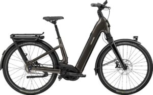 Cannondale Mavaro 2 2025