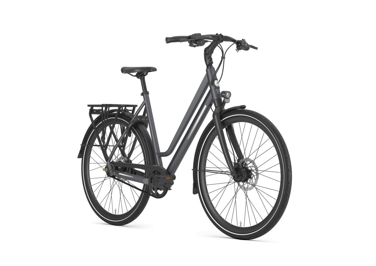 Gazelle Chamonix S11 2024 - Afbeelding 5