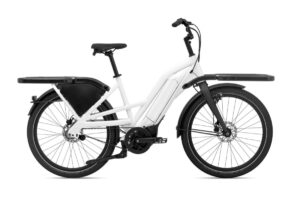 Giant Delivery E+ 2021